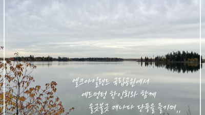 엘크 아일랜드에서 진행한 HAHA 프로그램~